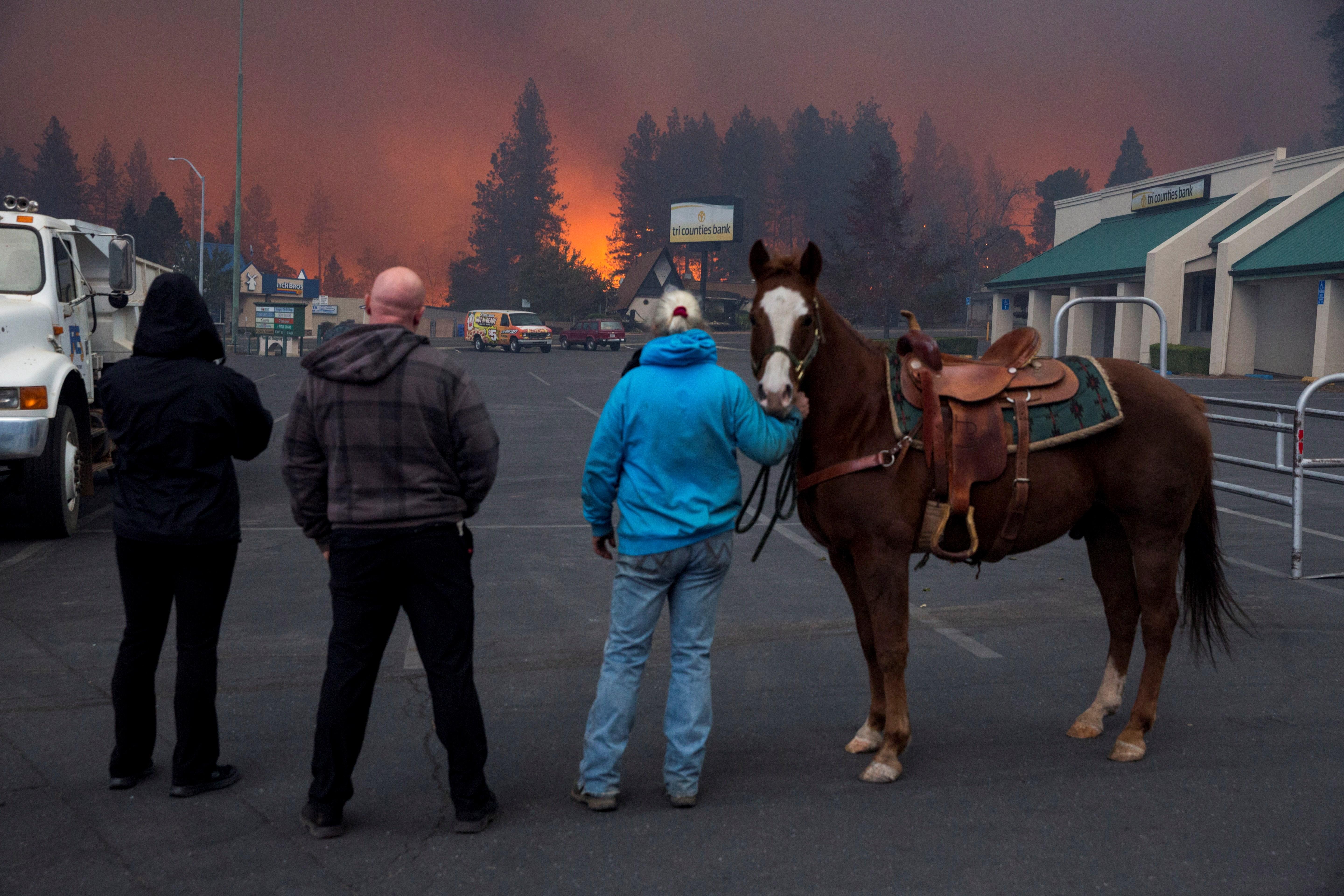 Més de 600 desapareguts i 66 morts pels incendis de Califòrnia