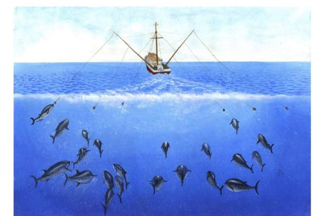Pesca amb curricà. / Foto: Proyecto Digipesca Pesca amb curricà. / Foto: Proyecto Digipesca
