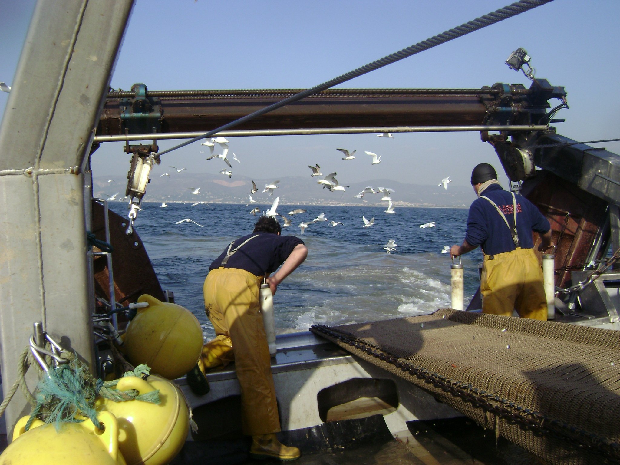 Catalunya gestiona la pesca professional amb un model pioner a Europa i al Mediterrani