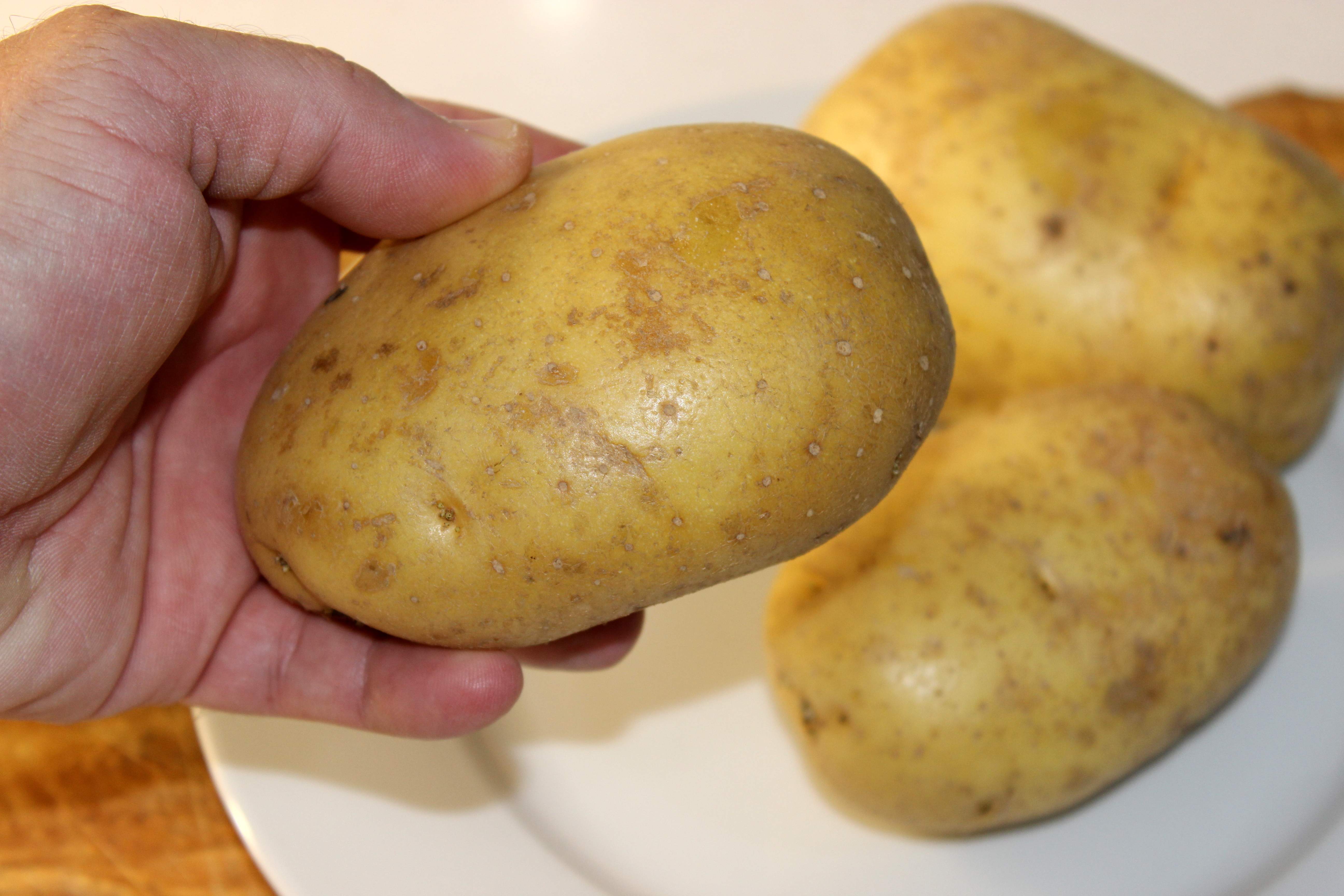 patates