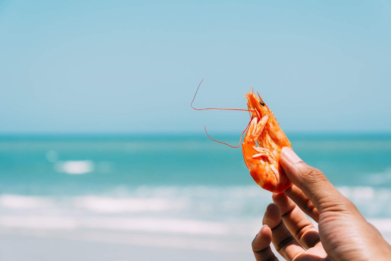 Ni mayonesa ni salsa rosa: el aliño fácil que transforma unos langostinos cocidos