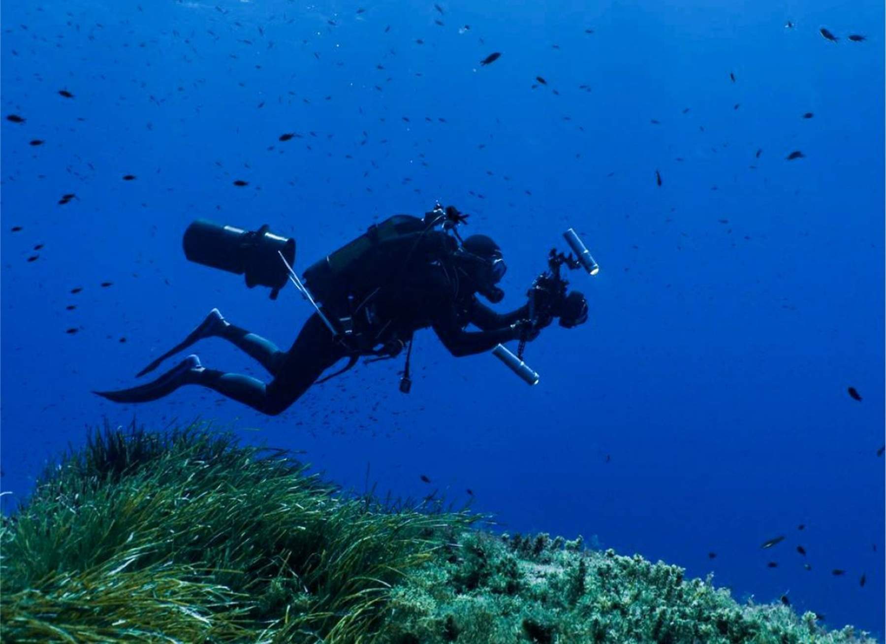 La Bluewave Alliance promou una expedició científica per estudiar el Banc Talbot
