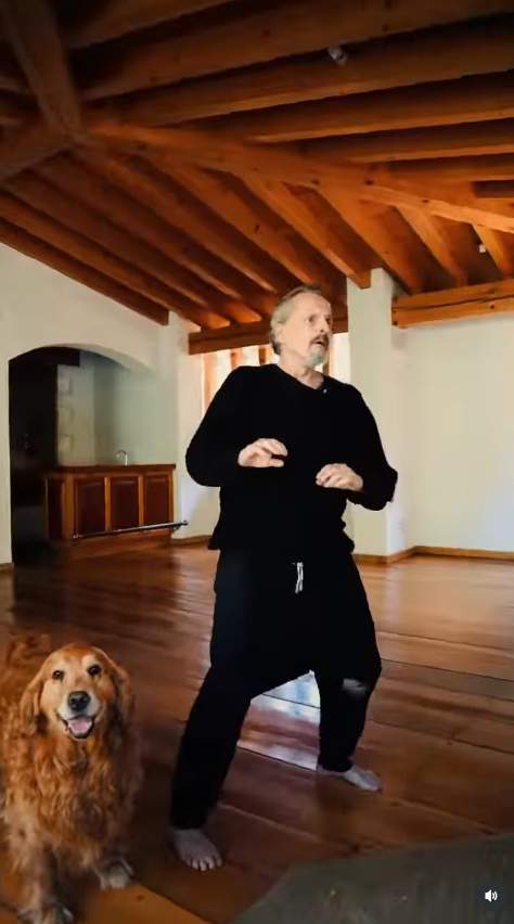 Bosé balla i el gos rumia, Instagram Bosé balla i el gos rumia, Instagram