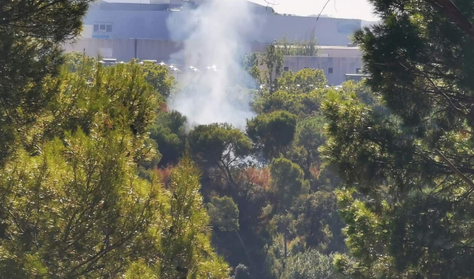 Detingut el piròman que va provocar tres incendis forestals a Barberà del Vallès en dues setmanes a l'agost
