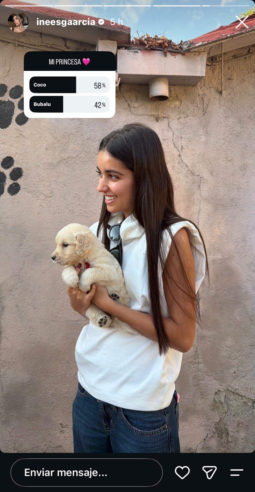 La votació per escollir el nom de la gossa de Lamine Yamal i Inés García / Instagram La votació per escollir el nom de la gossa de Lamine Yamal i Inés García / Instagram