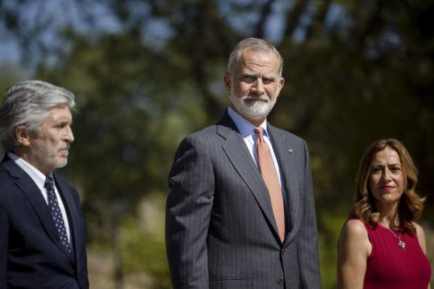 rei rey felip felipe vi efe rei rey felip felipe vi efe
