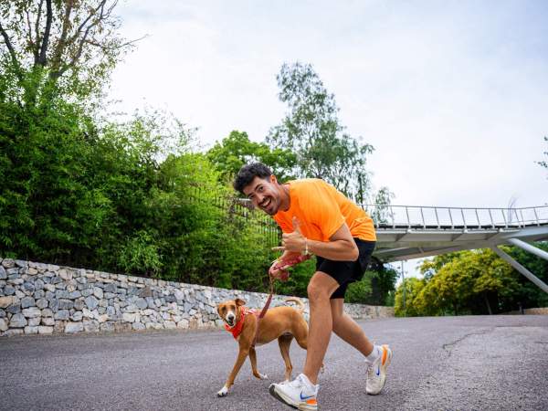Dogfy Run Dogfy Run