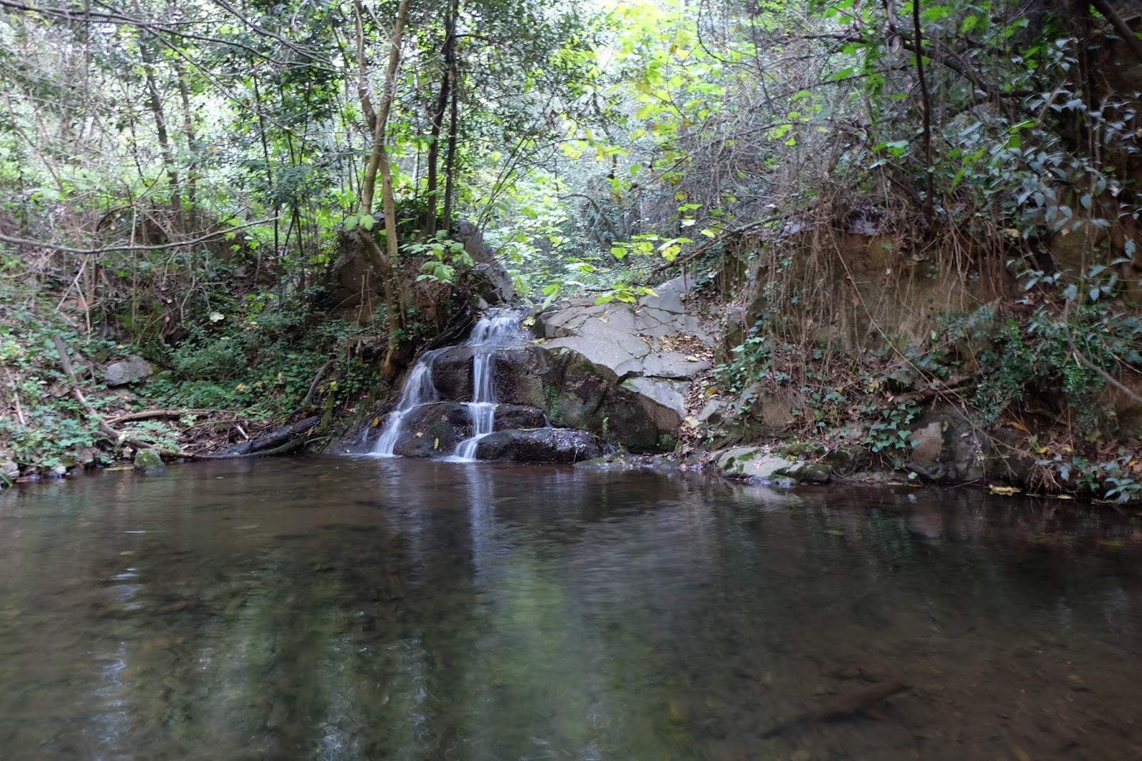 La ruta entre gorgs, ermites i frondosos boscos a només 50 minuts de Barcelona: un tresor del Montseny