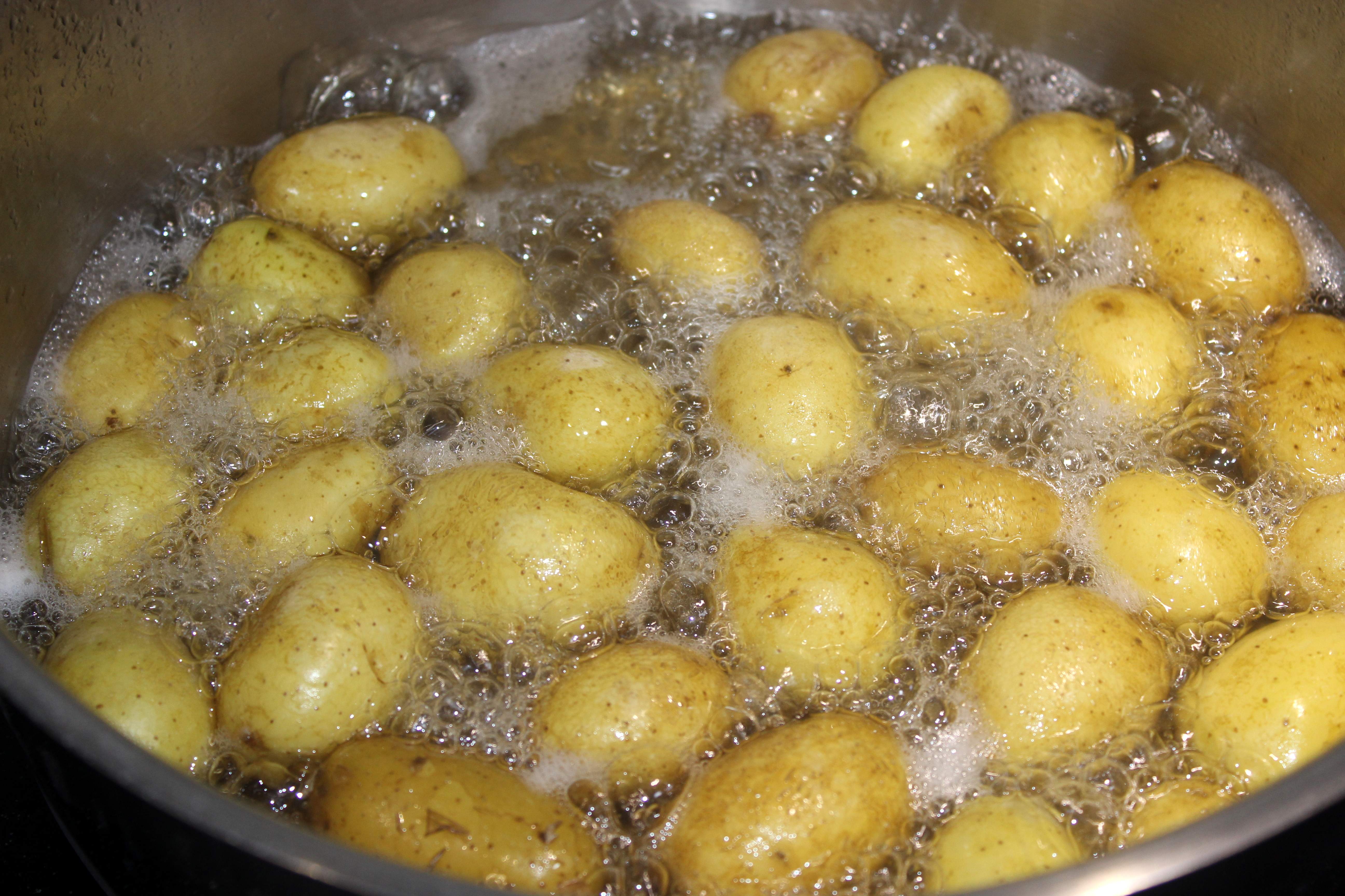 coure patates