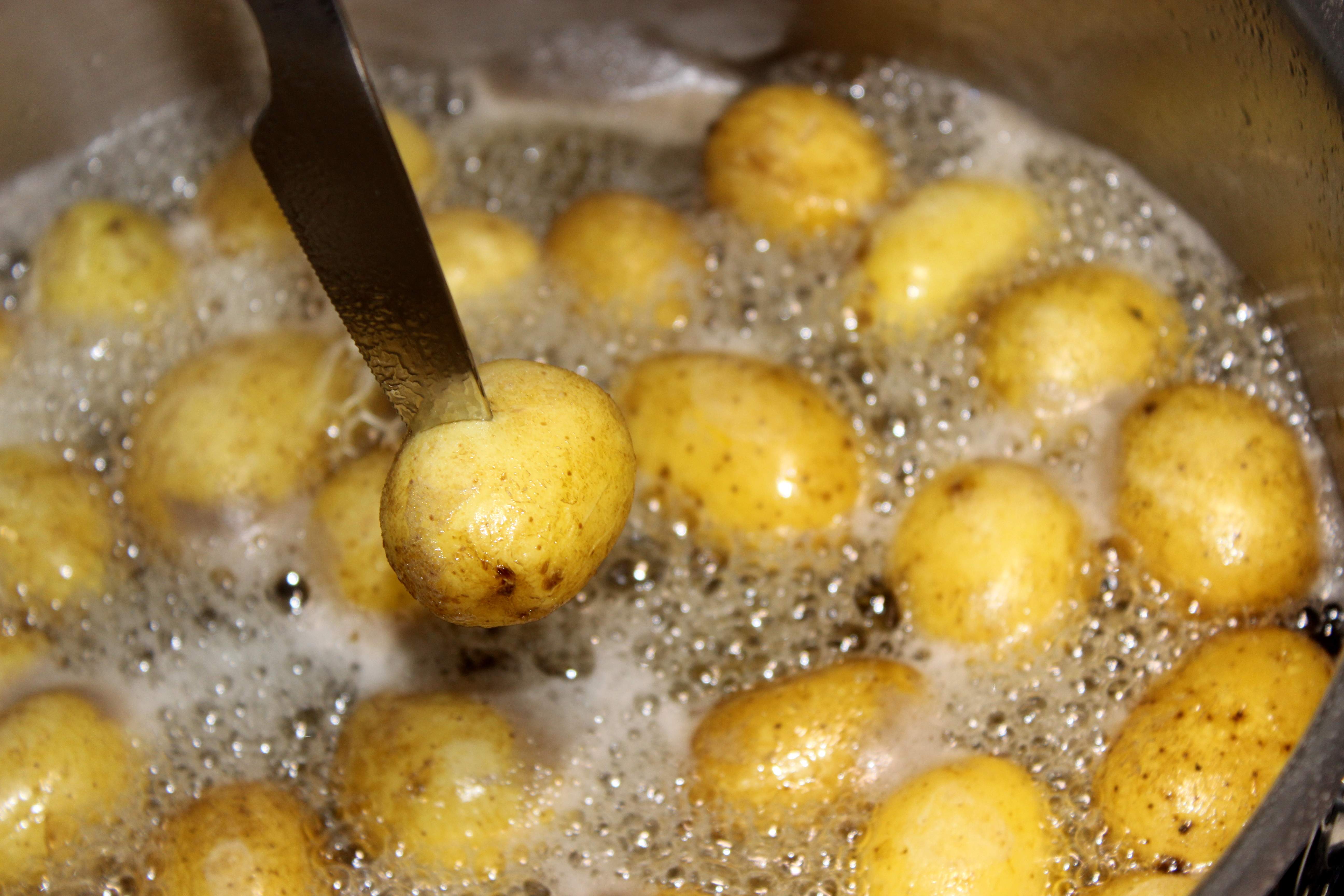 punxar patates