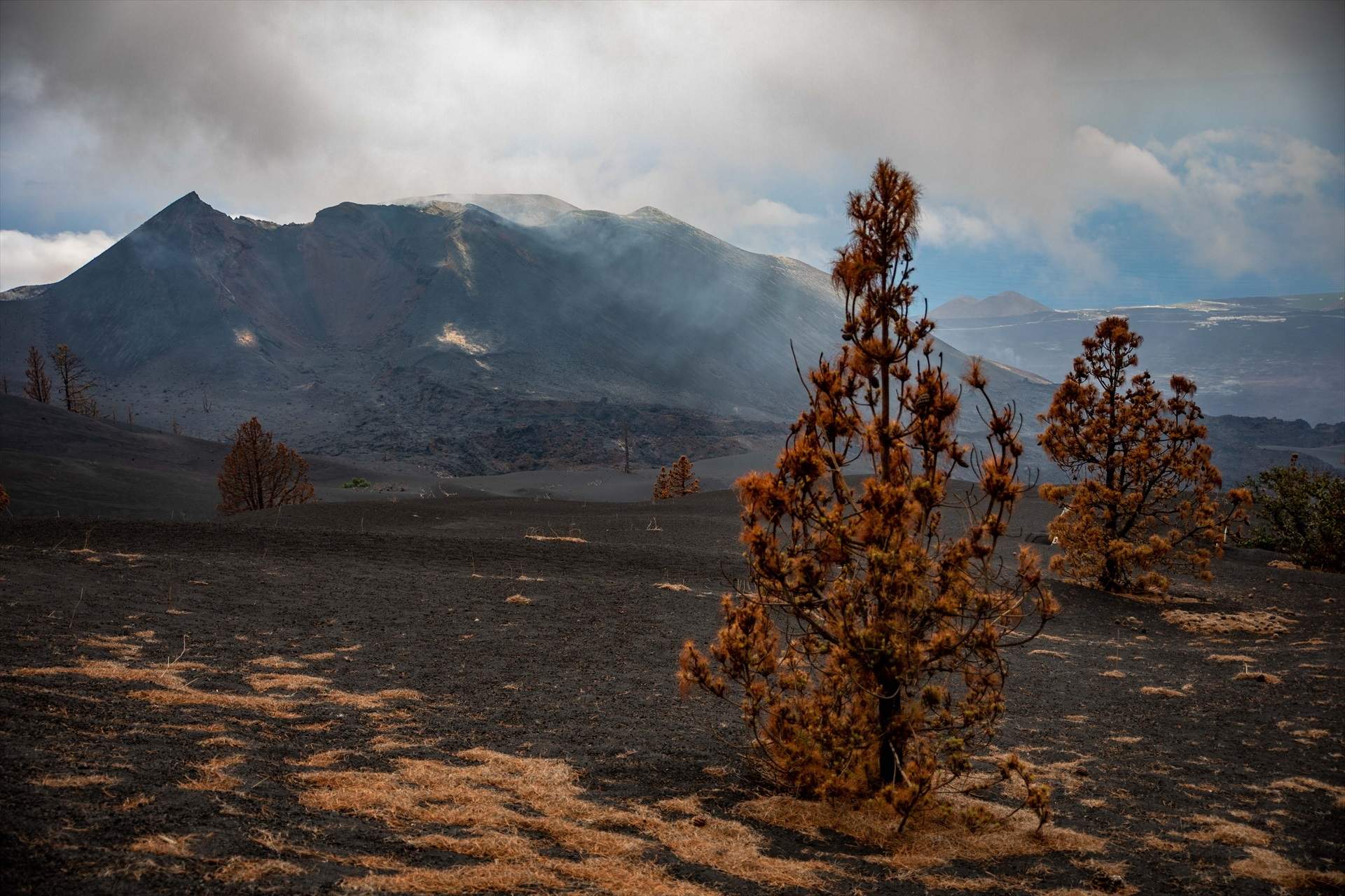 Cinc anys després de l'erupció del Cumbre Vieja, l'illa de La Palma continua amb les feines de recuperació