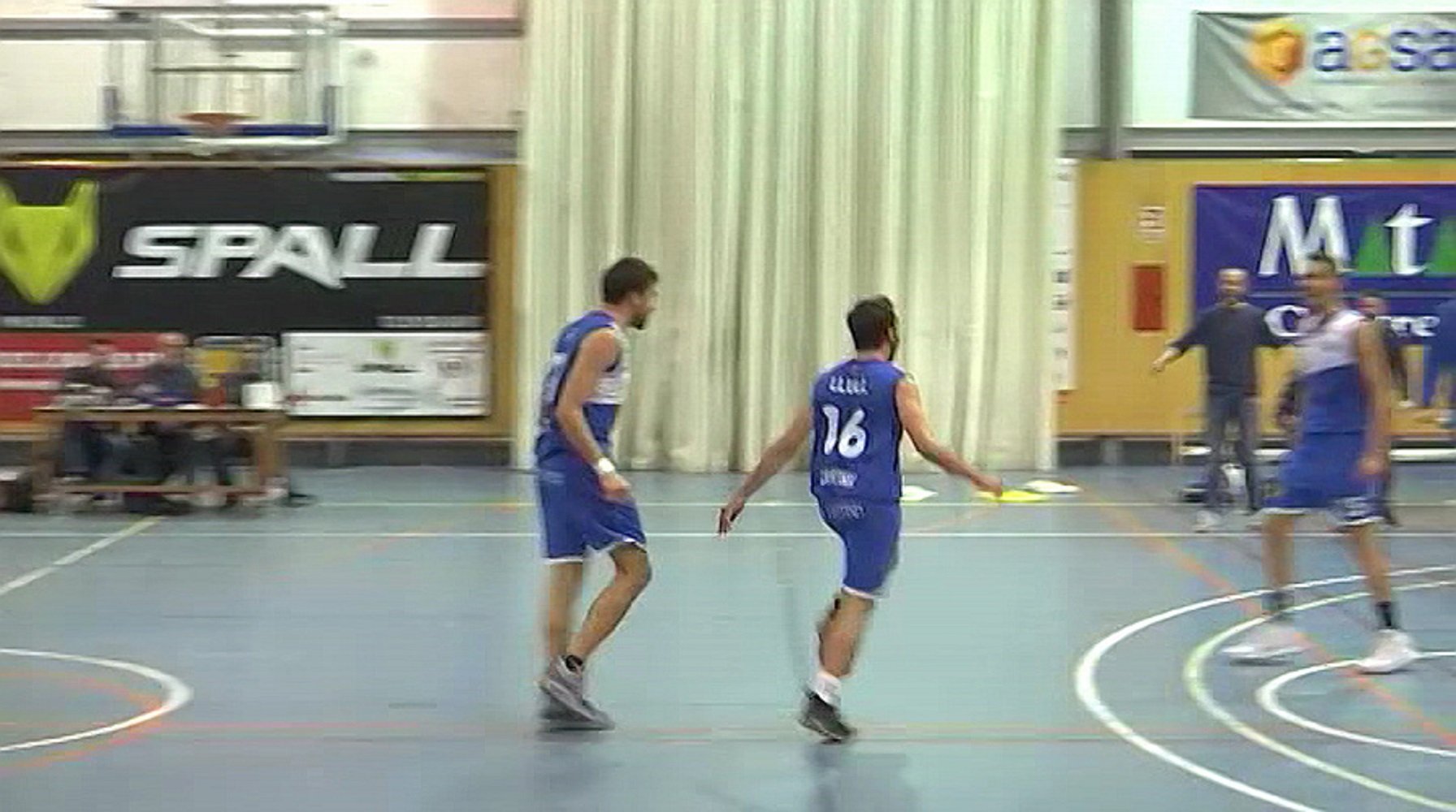 Les mandarines són cosa de la família Llull