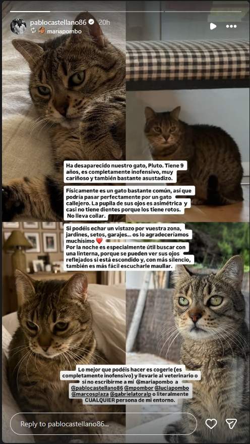 María Pombo sobre el seu gat Pluto / Instagram