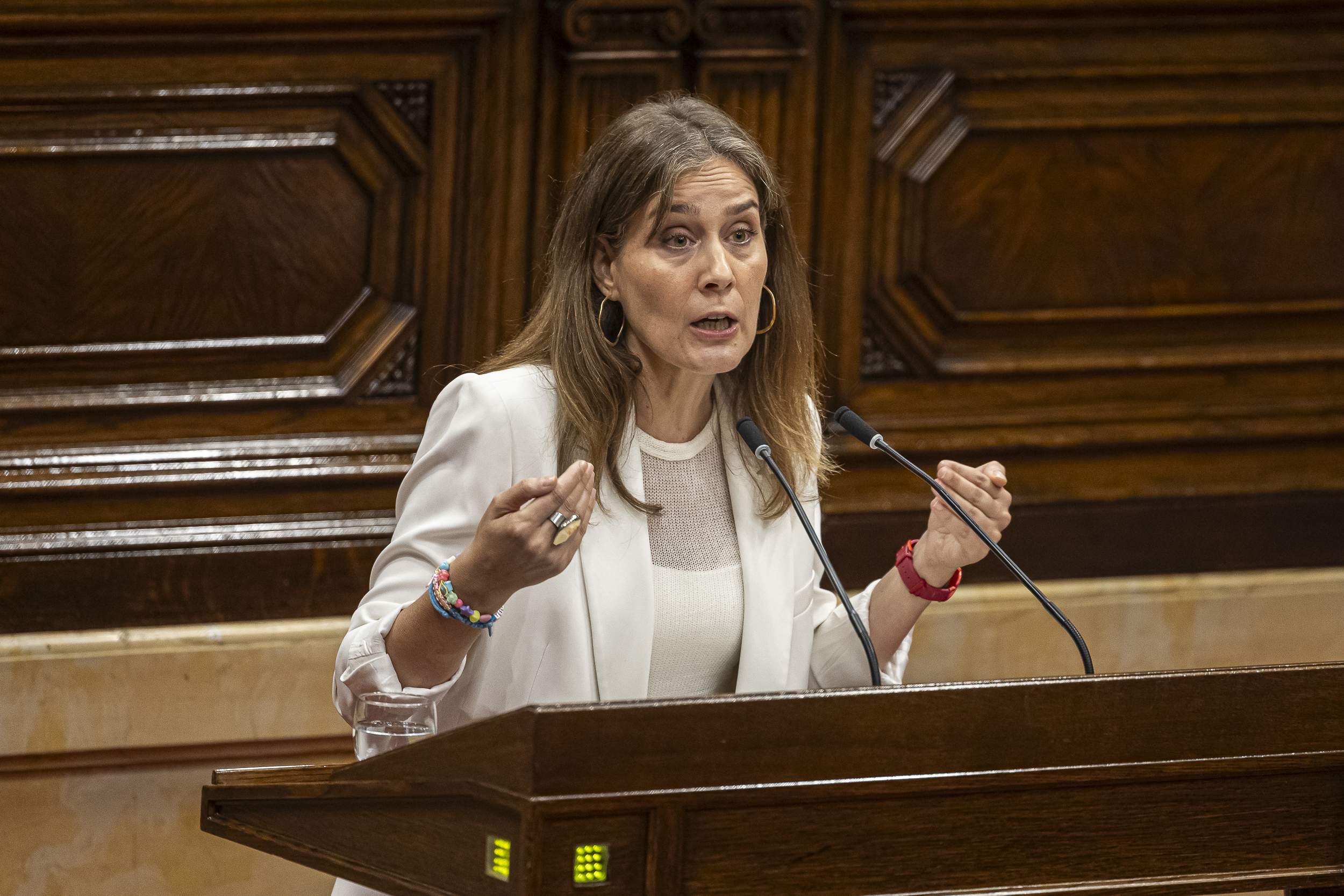 Comuns: "Necessitem un Govern que defensi la gent dels voltors i no és el Govern que estem veient"