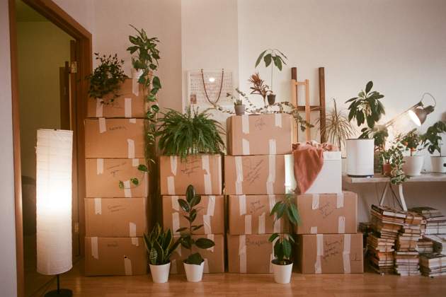 mudança unsplash (2) mudança unsplash (2)