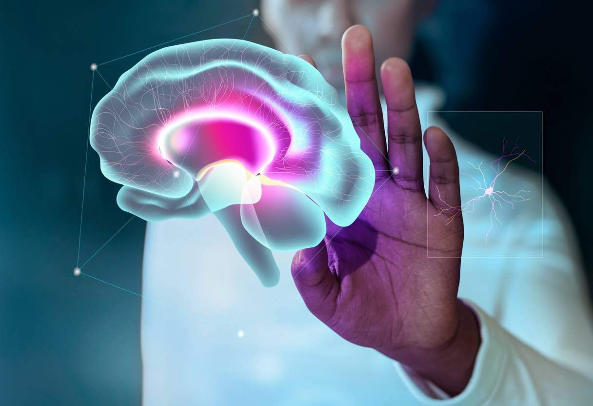 Què hi ha al darrere de la identitat de gènere? La mirada de la neurociència