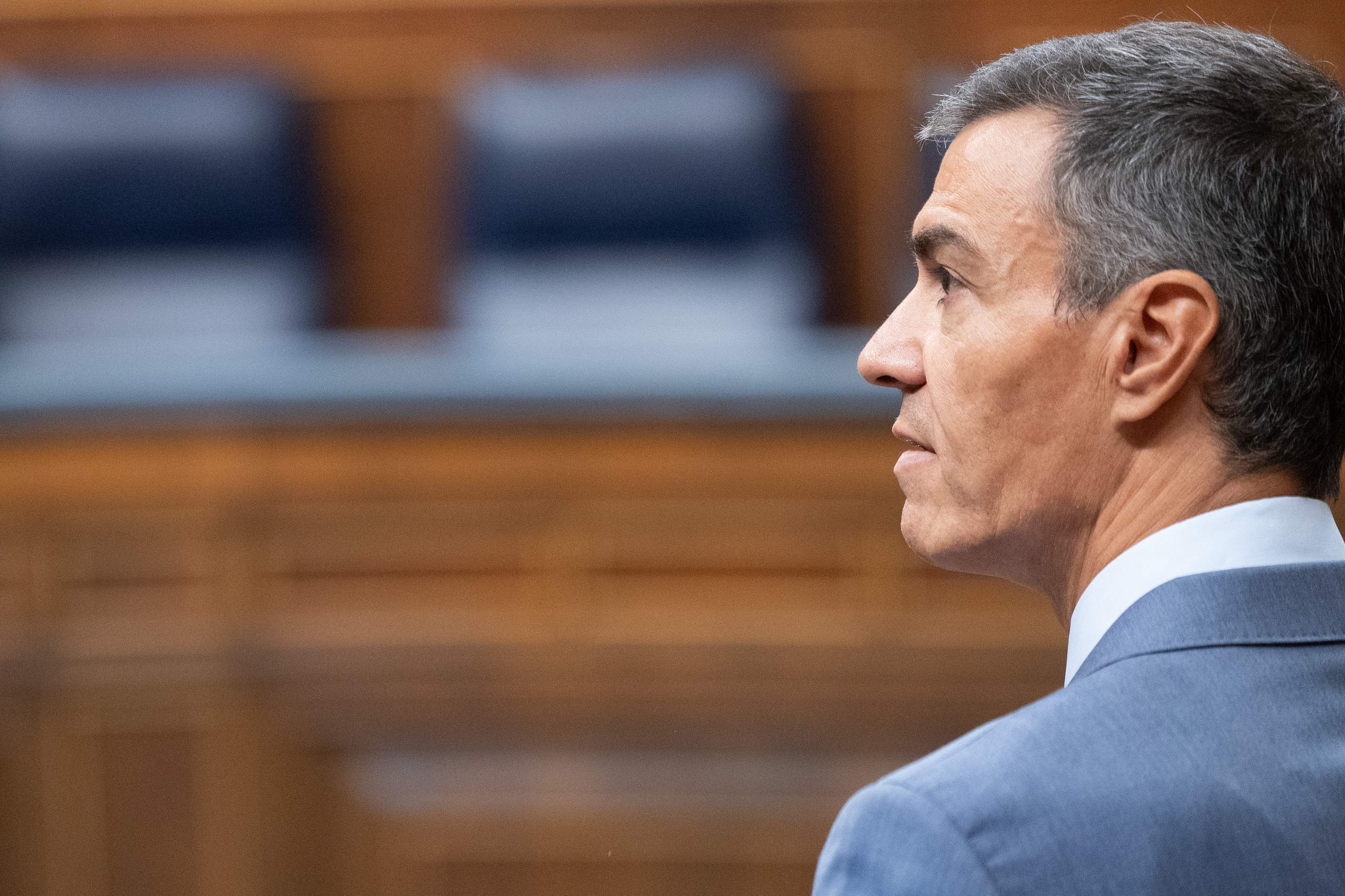 La margarida de Sánchez: les raons per convocar o no eleccions generals