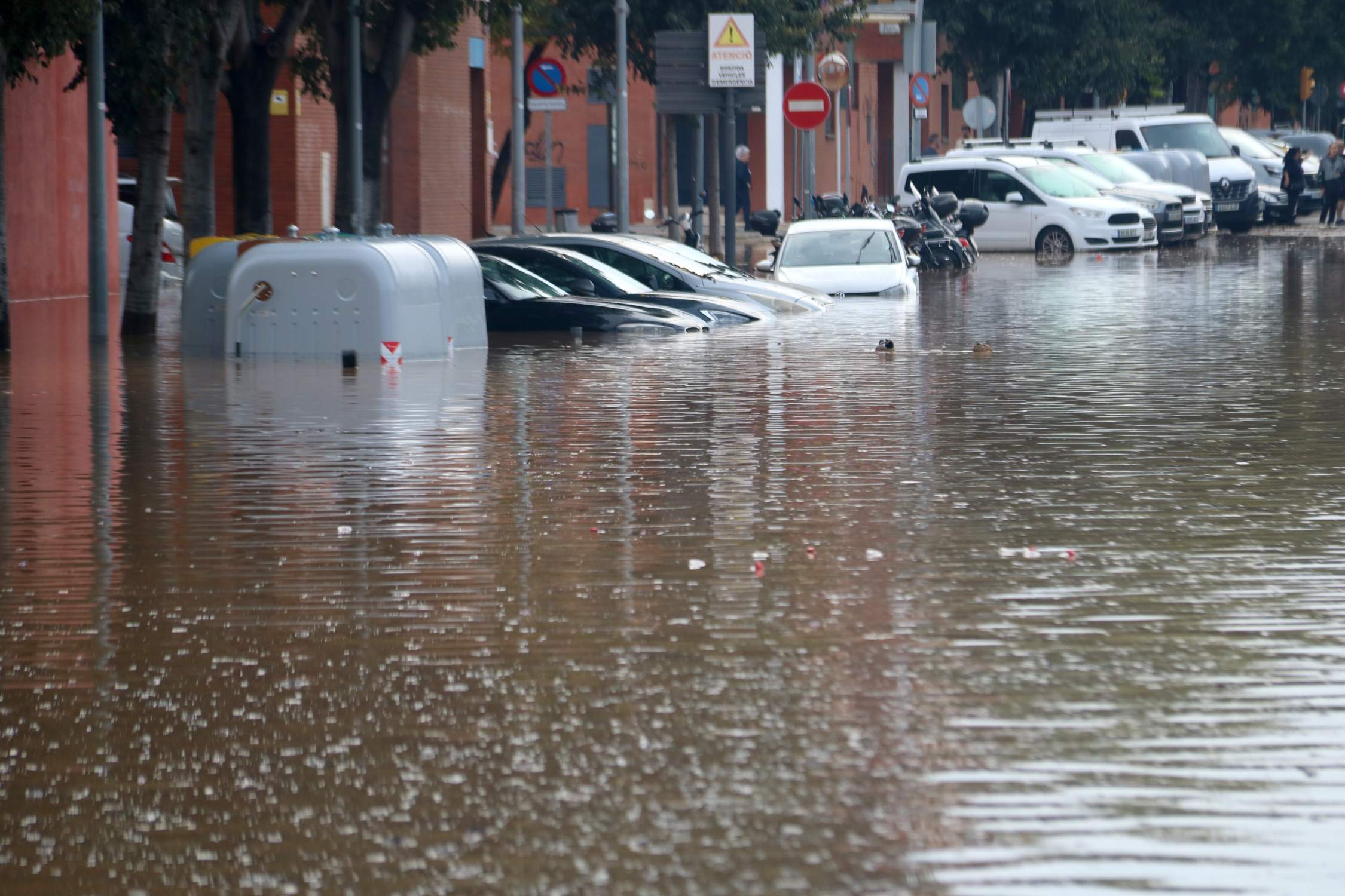 Dos morts i una persona desapareguda durant el temporal de pluges a Catalunya