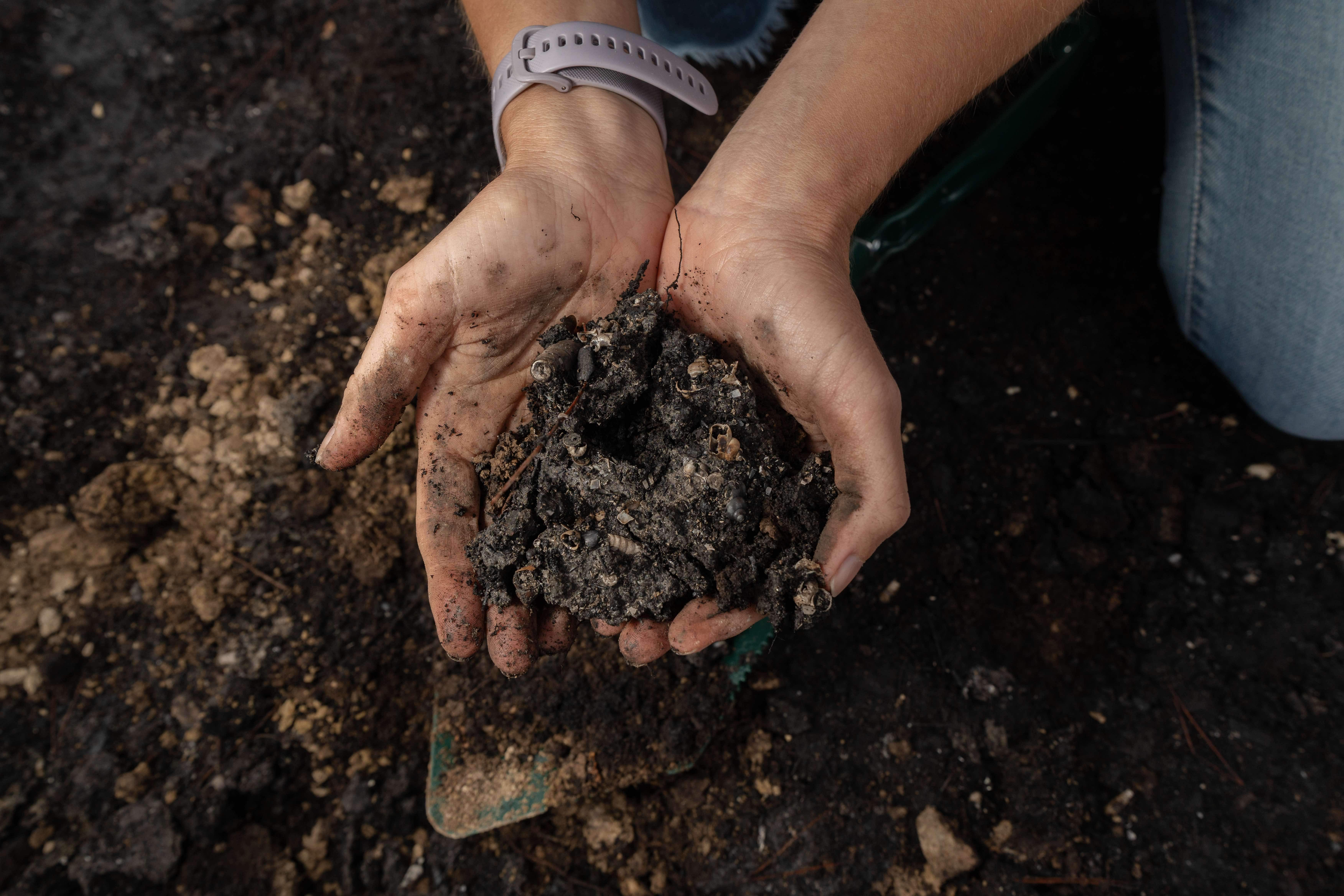 Una tempesta pot endur-se en hores el sòl que el bosc triga segles a formar