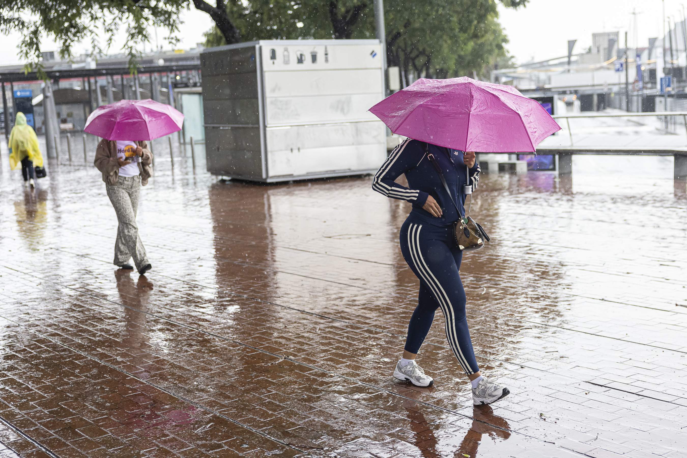 Alerta per pluges intenses aquest dissabte al Maresme, el Vallès Oriental i la Selva