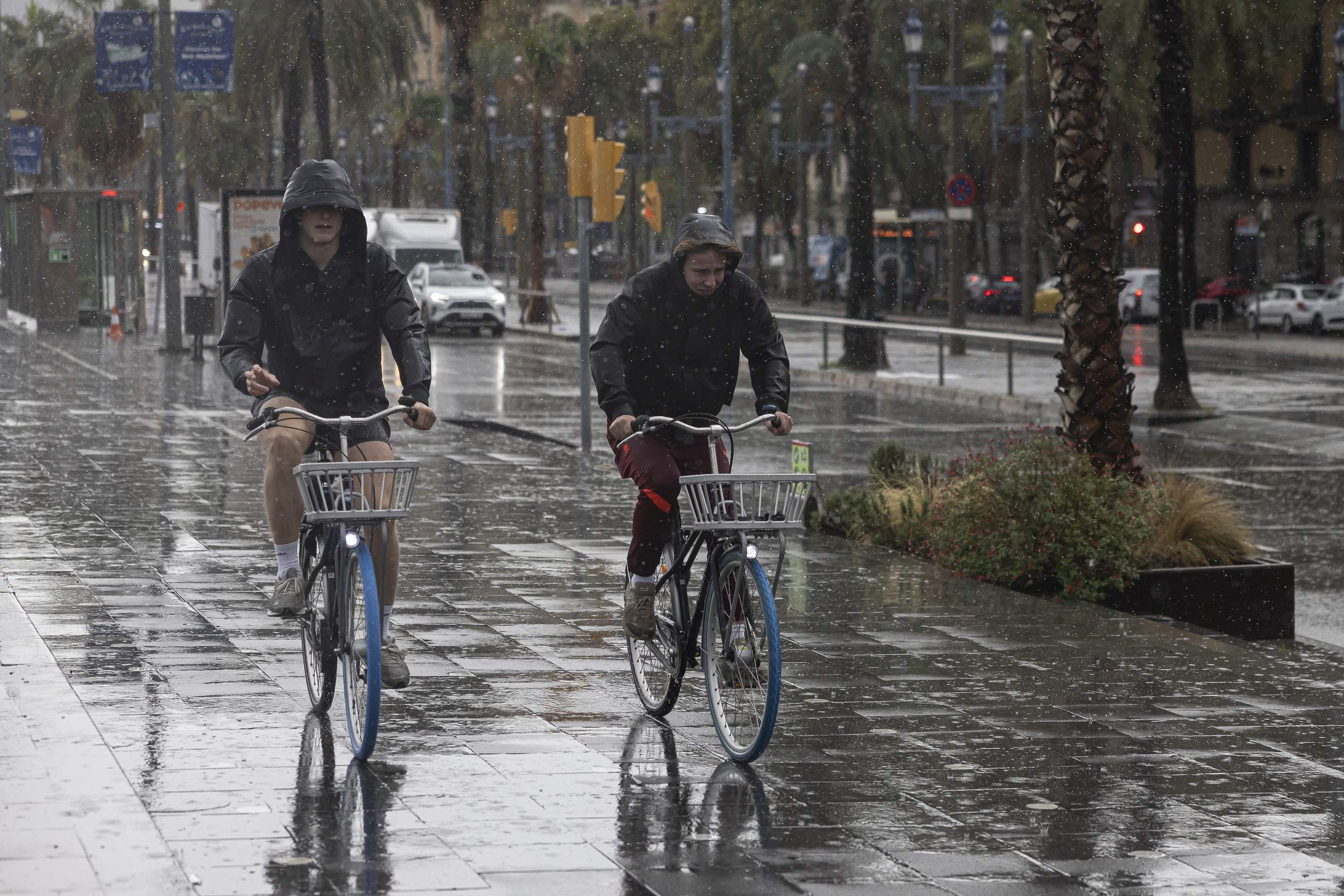Les pluges desborden les estadístiques: una quarta part de les estacions supera la mitjana anual
