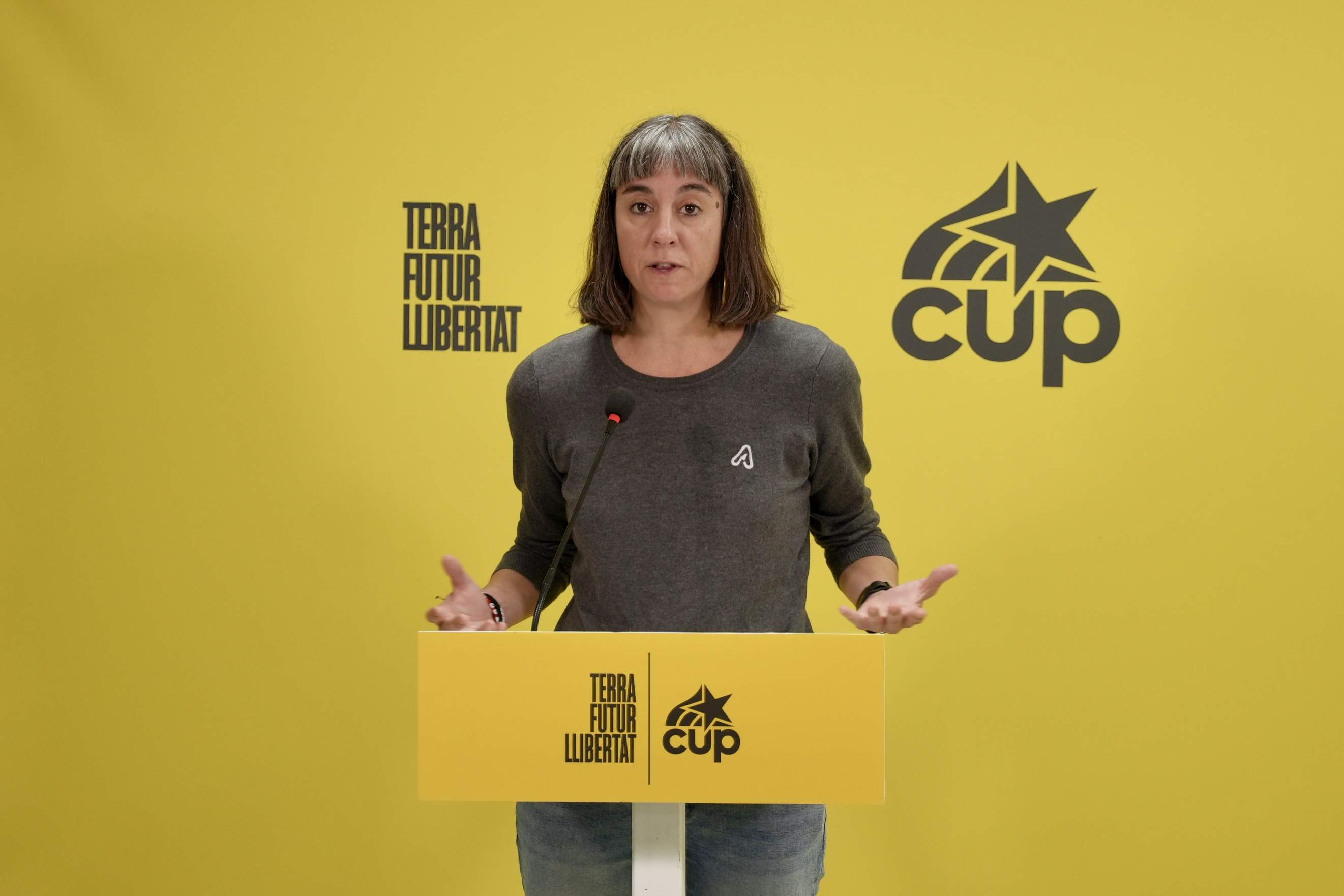 La CUP decidirà dissabte si es presenta a les eleccions espanyoles del 29-N
