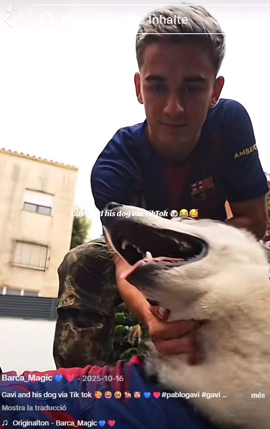 Gavi amb el seu gos Conan TikTok