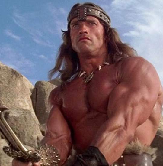 Arnold Scharzenegger a 'Conan, el bàrbar'
