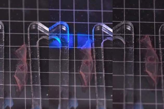 Experimento del MIT con un microrobot