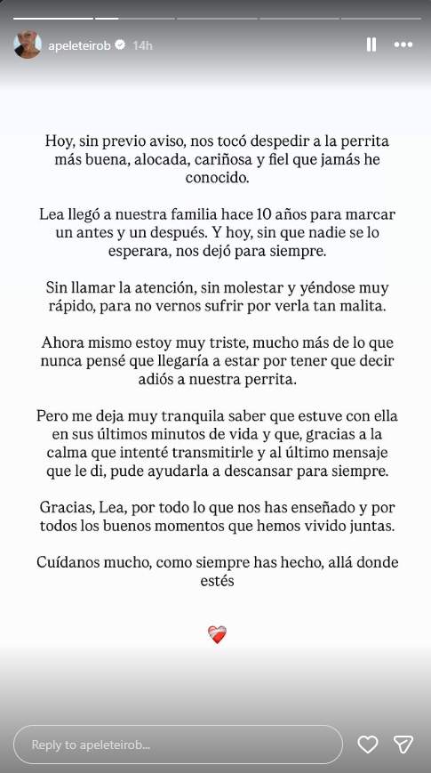 Ana Peleteiro s'acomiada de la seva gosseta Lea / Instagram Ana Peleteiro s'acomiada de la seva gosseta Lea / Instagram