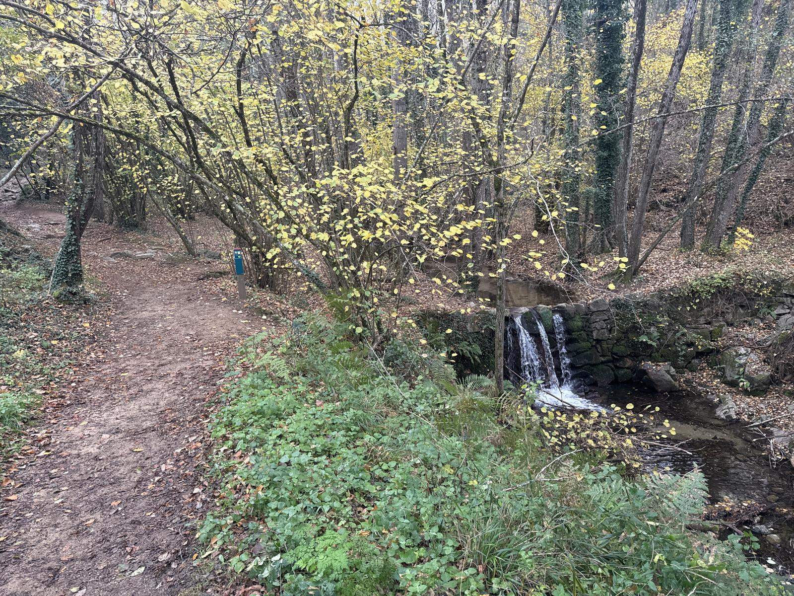 El màgic bosc de Catalunya que es troba envoltat de castanyers en plena tardor