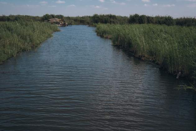 Imatge d'arxiu del Delta de l'Ebre / Foto: Pexels Imatge d'arxiu del Delta de l'Ebre / Foto: Pexels