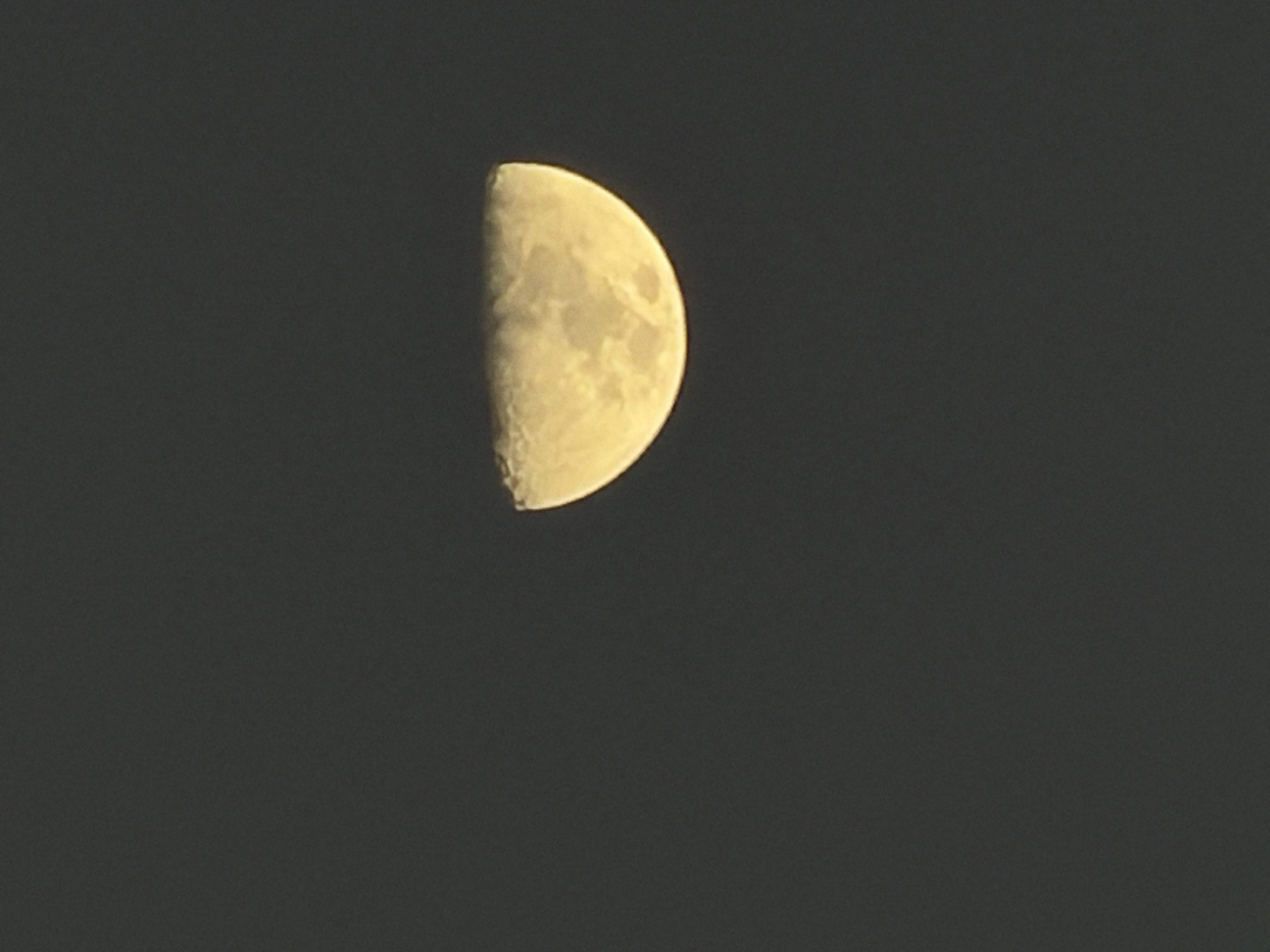 IMG 0046
