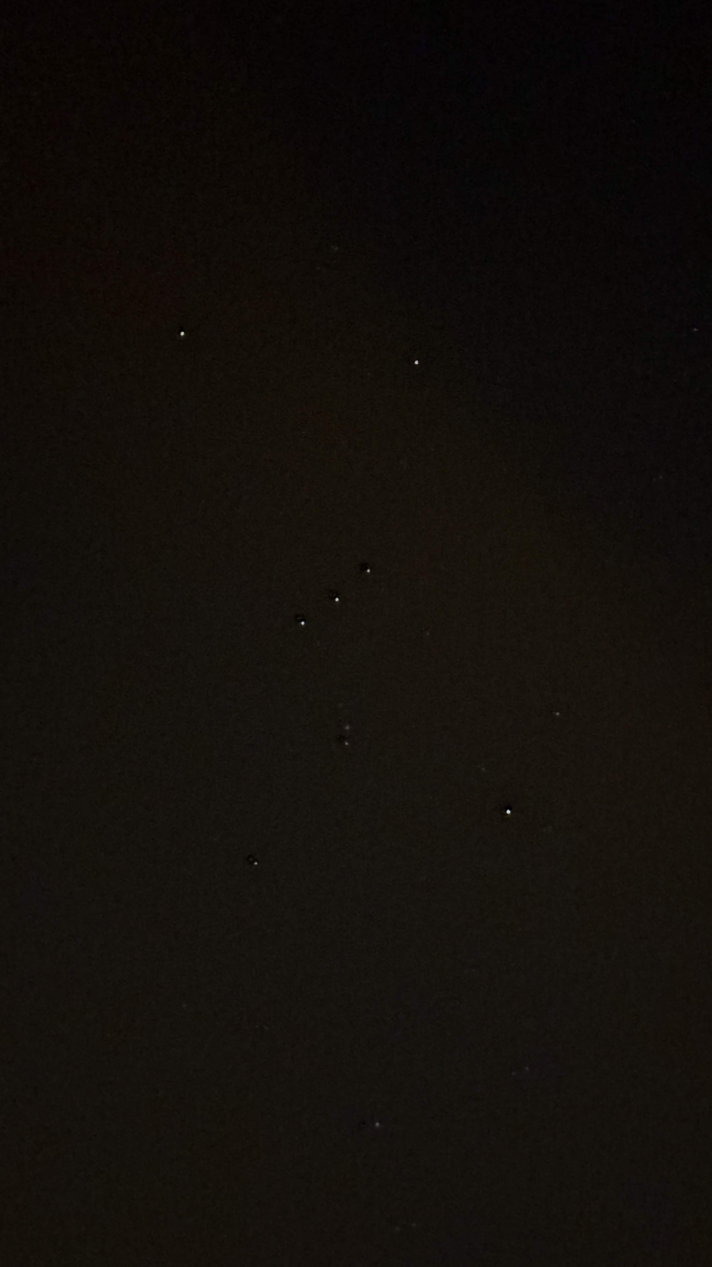 IMG 7991