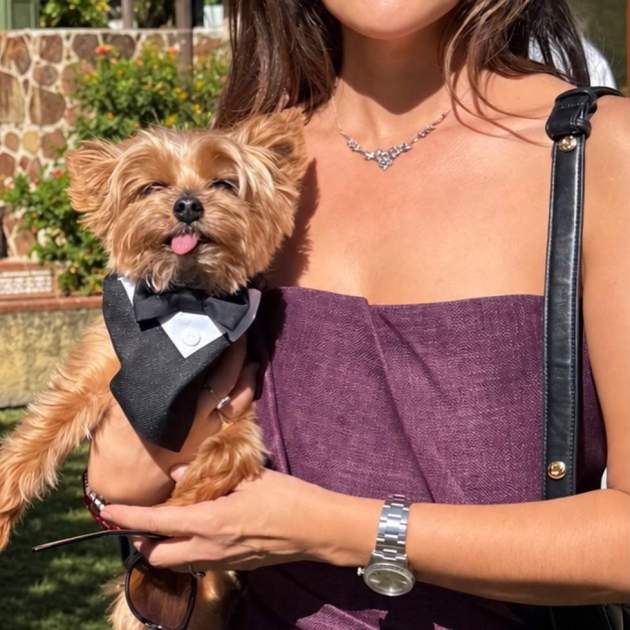 Marta Torné amb el seu gosset vestit de gala / Instagram Marta Torné amb el seu gosset vestit de gala / Instagram