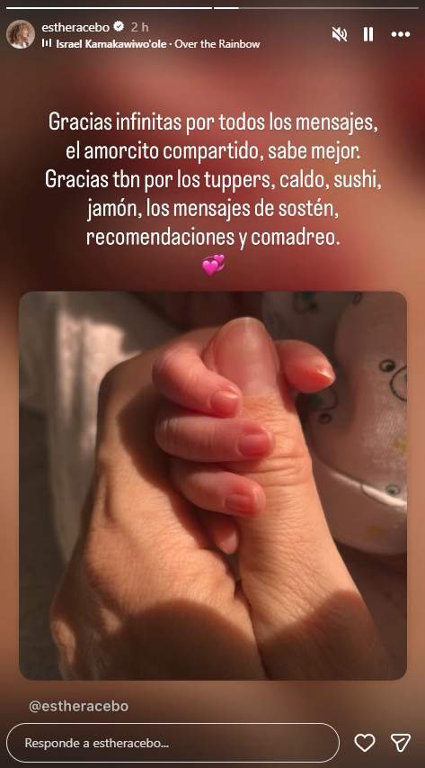 acebo
