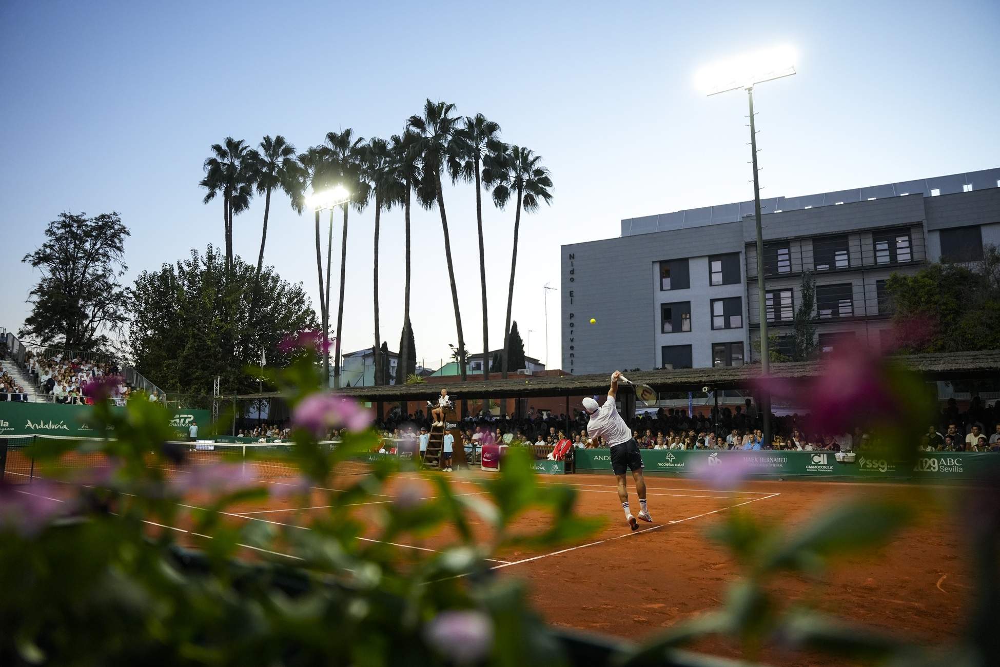 Escàndol en el tennis: suspès 24 anys per arreglar partits i captar jugadors per a una xarxa de corrupció