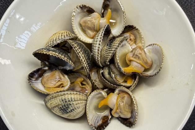 RESTAURANT SENY 005 RESTAURANT SENY 005