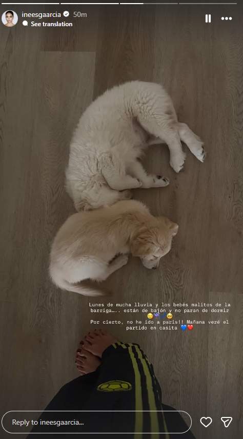 Coco i Copito malalts, Ig