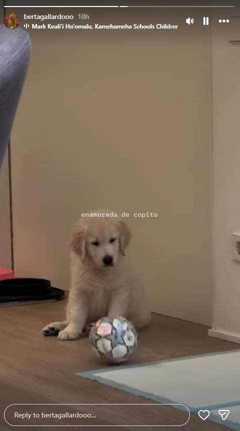 Berta Gallardo, nòvia de Fermín, enamorada de Copito, Ig
