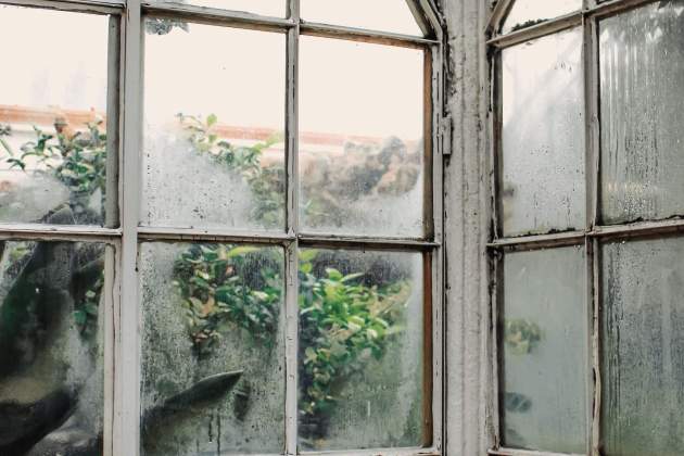 Imatge d'uns vidres mullats per condensació / Foto: Pexels Imatge d'uns vidres mullats per condensació / Foto: Pexels