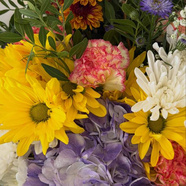 Les flors d'aniversari que ha rebut Paula Willems / Instagram Les flors d'aniversari que ha rebut Paula Willems / Instagram