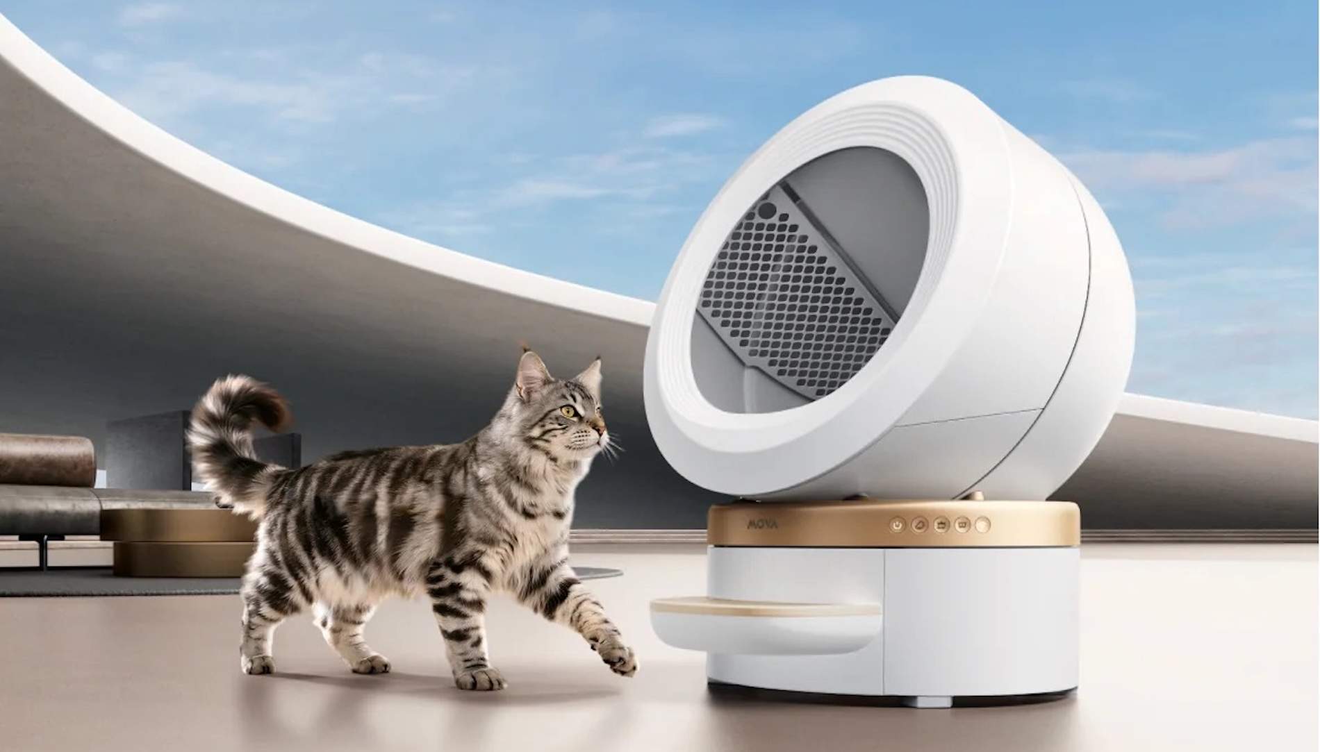 La solución definitiva para la arena de los gatos