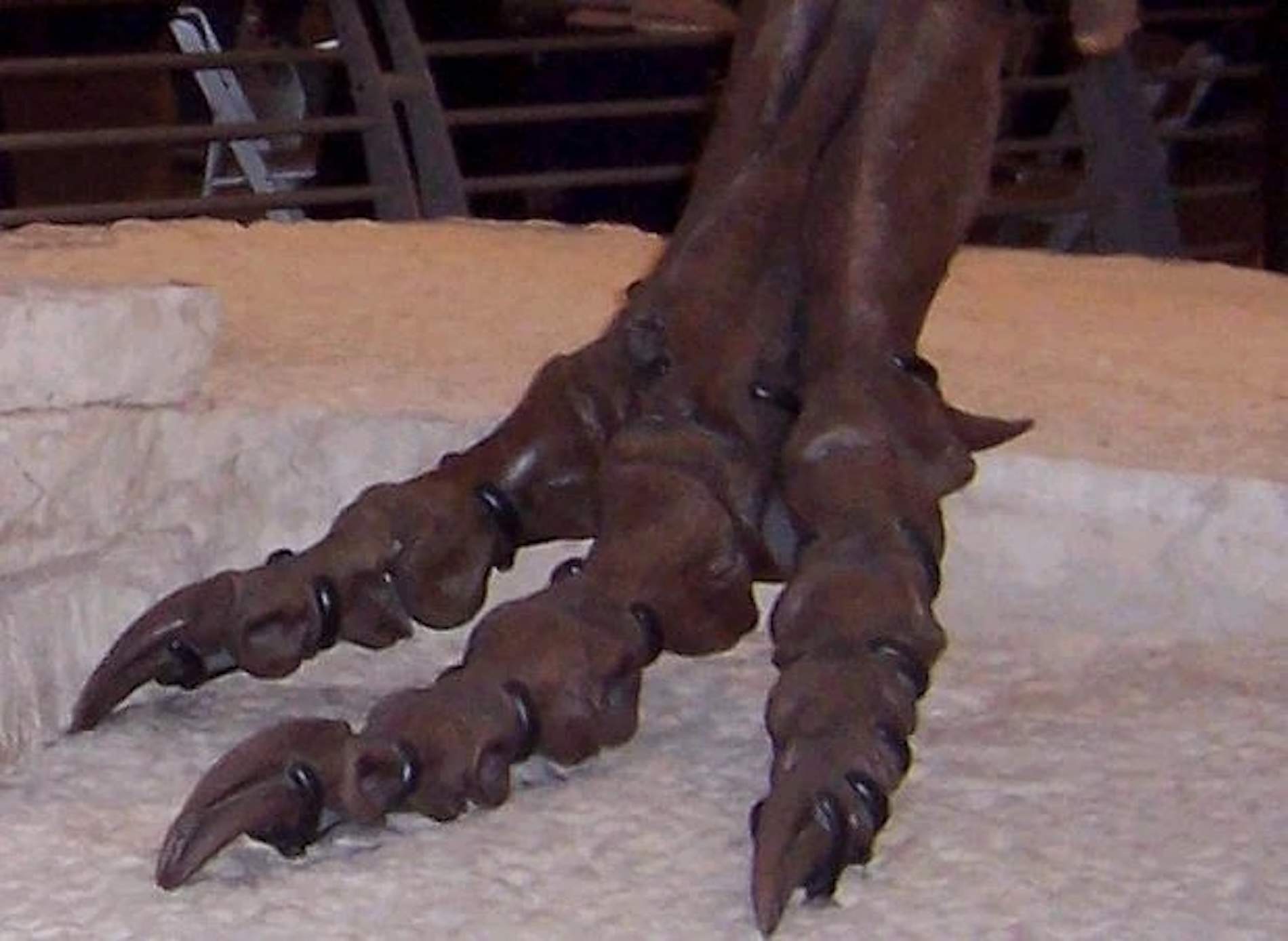 Un fósil olvidado en un museo durante más de 100 años revela un temible dinosaurio con garras gigantes