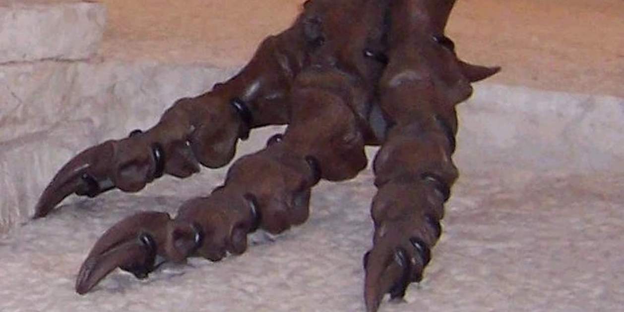 Un fòssil oblidat en un museu durant més de 100 anys revela un temible ...