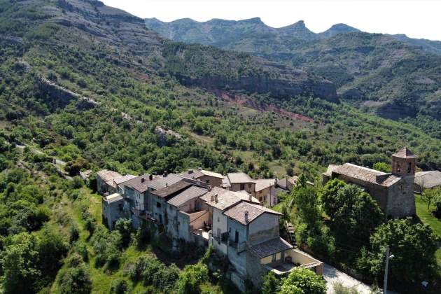 Imatge de la roureda d'Alàs / Foto: Ara Lleida Imatge de la roureda d'Alàs / Foto: Ara Lleida