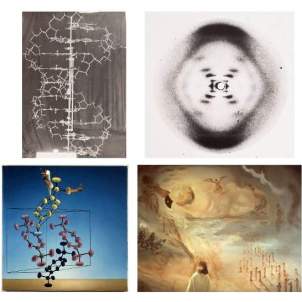 Arriba, dos de las imágenes icónicas del ADN de 1953, la maqueta que construyeron Watson y Crick para mostrar físicamente su modelo del ADN, y la famosa fotografía 51 de rayos X obtenida por Raymon Gosling y Rosalind Franklin, sobre la cual Watson y Crick propusieron su modelo. Abajo, dos de los cuadros pintados por Dalí, inspirados claramente por la estructura del ADN. Arriba, dos de las imágenes icónicas del ADN de 1953, la maqueta que construyeron Watson y Crick para mostrar físicamente su modelo del ADN, y la famosa fotografía 51 de rayos X obtenida por Raymon Gosling y Rosalind Franklin, sobre la cual Watson y Crick propusieron su modelo. Abajo, dos de los cuadros pintados por Dalí, inspirados claramente por la estructura del ADN.
