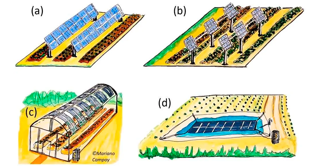 Imatge que il·lustra diferents aplicacions de l’agrovoltaica, integració de les plaques solars en els camps de conreu. Imatge que il·lustra diferents aplicacions de l’agrovoltaica, integració de les plaques solars en els camps de conreu.