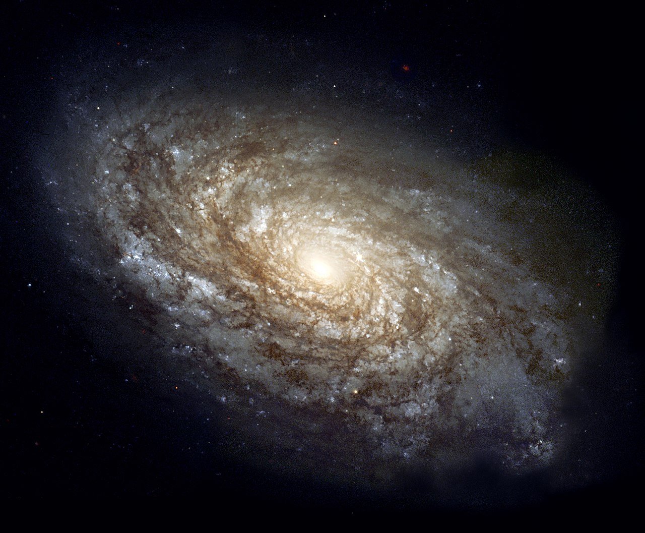 La primera fotografia de la galàxia Roda de Carro