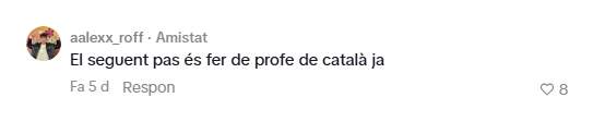 Els comentaris dels vídeos de Manu Rivas / TikTok 